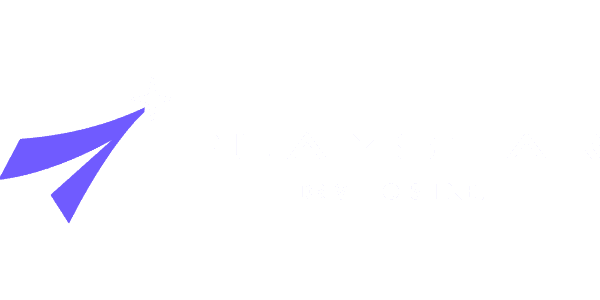 Visa partner logo